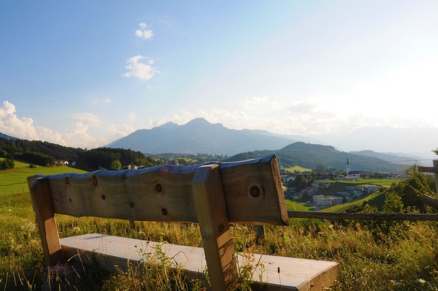 球队管理层 球队管理层