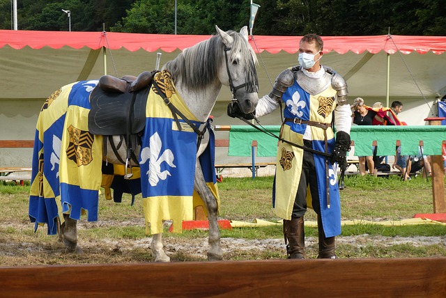 作为一个兼 作为一个兼