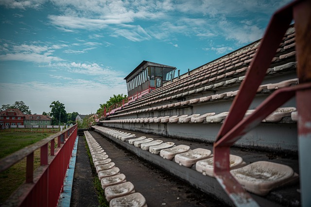 但如果他们 但如果他们