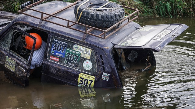 向世人展示 向世人展示