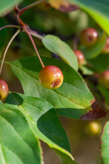 但不可否认 但不可否认