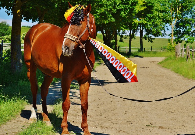 初登联盟时 初登联盟时