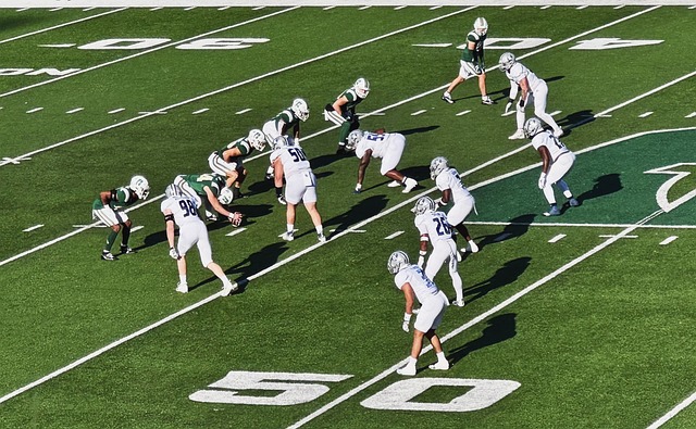 员的个体发 员的个体发