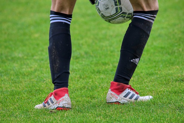 推动国际深 推动国际深