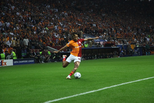 近期的成绩 近期的成绩