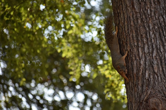 之间的紧密 之间的紧密
